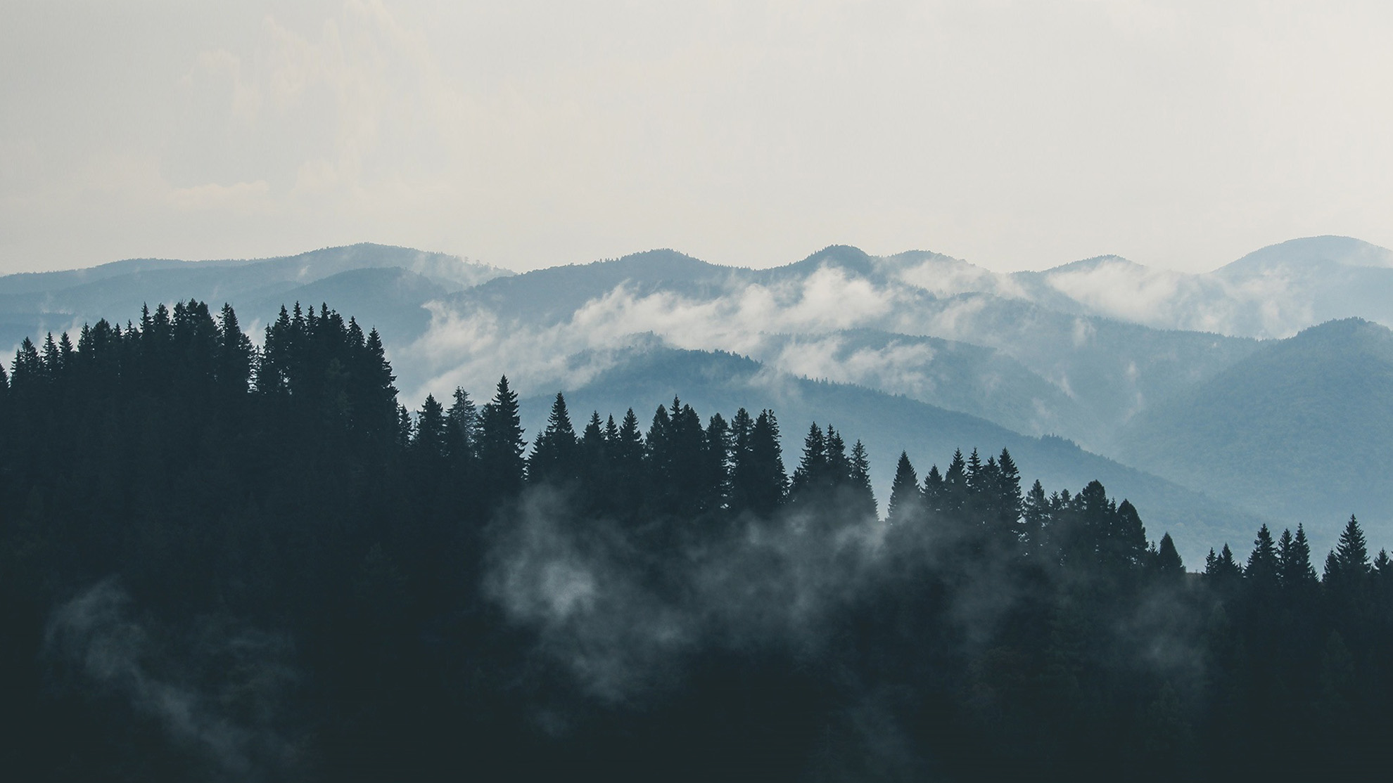 Breaking out of anxious insecurity